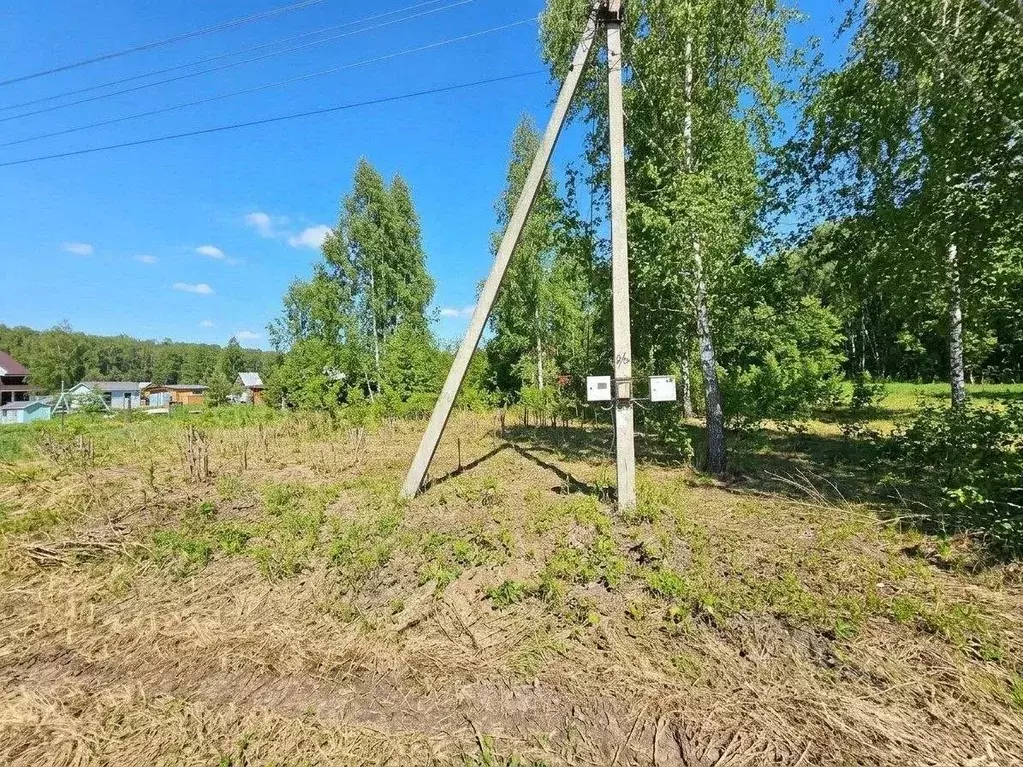 Участок в Московская область, Ступино городской округ, Ясень СНТ 175 ... - Фото 2