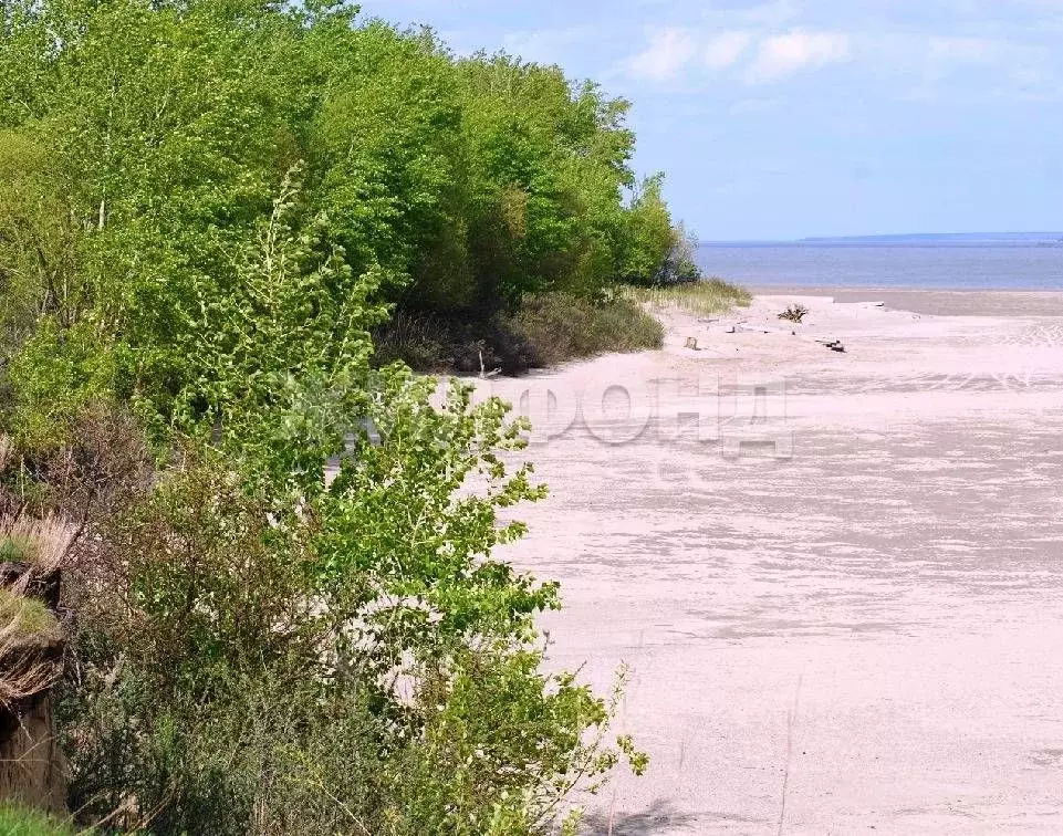 Участок в Новосибирская область, Ордынский район, с. Красный Яр  ... - Фото 1
