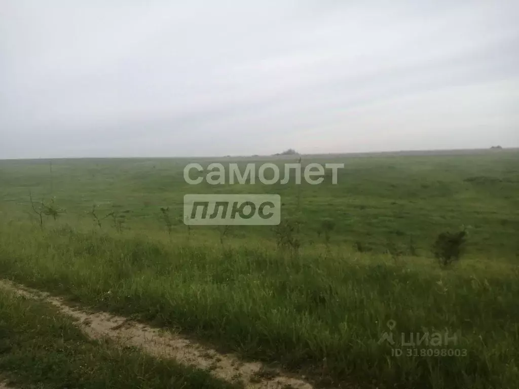 Участок в Курская область, Курский район, Брежневский сельсовет, д. ... - Фото 1