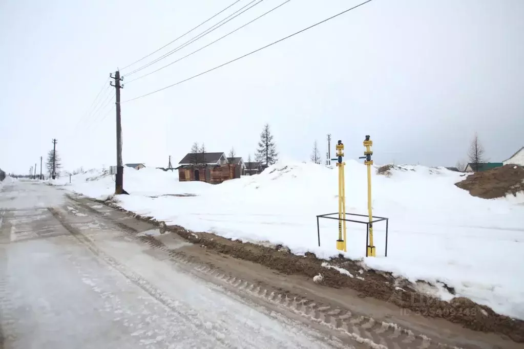 Участок в Ямало-Ненецкий АО, Новый Уренгой Дружба ТСН, пер. 7-й ... - Фото 1