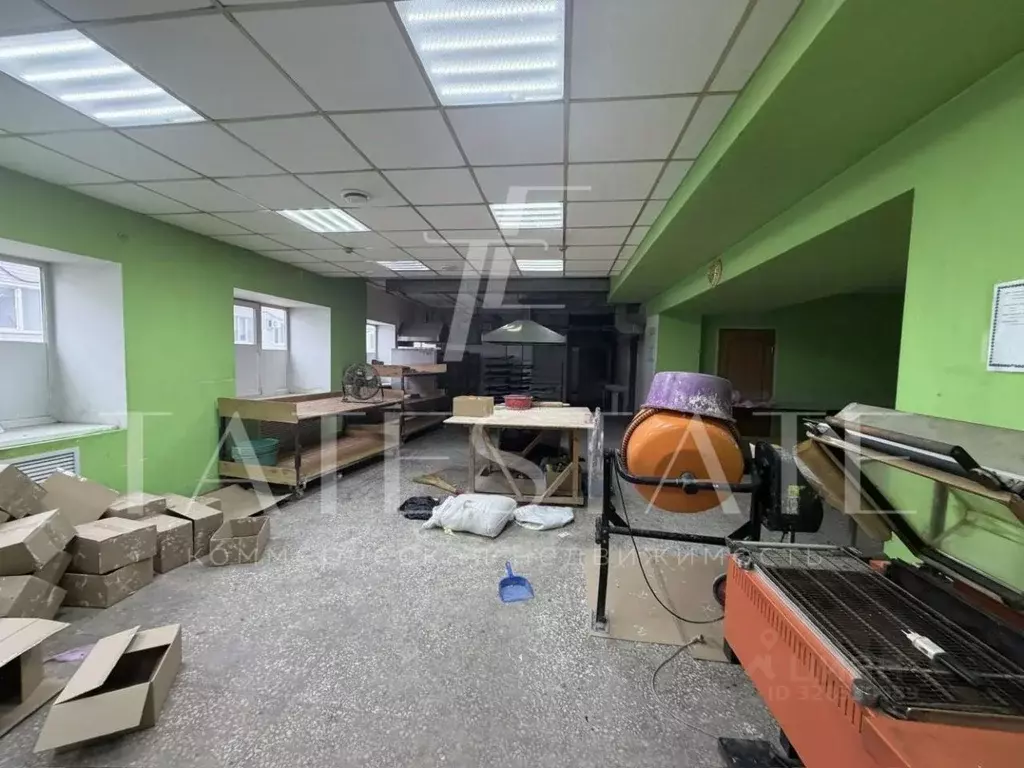 Помещение свободного назначения в Татарстан, Казань Алебастровая ул., ... - Фото 2