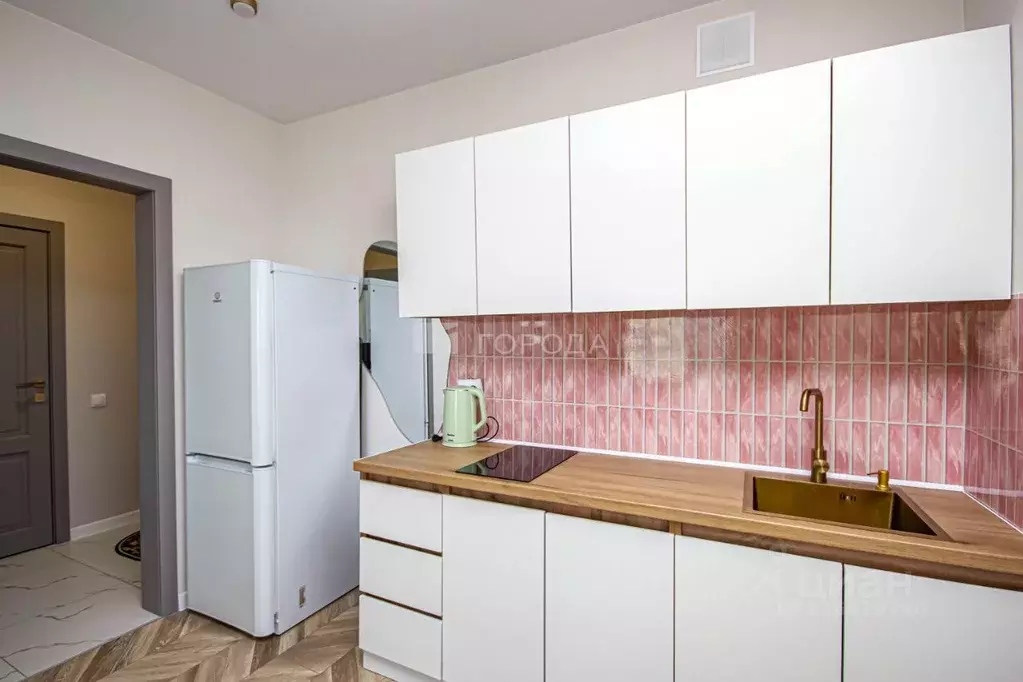 Студия Новосибирская область, Новосибирский район, Мочищенский ... - Фото 2