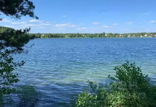 Участок в Рязанская область, Клепиковский район, Ненашкинское с/пос, ... - Фото 1