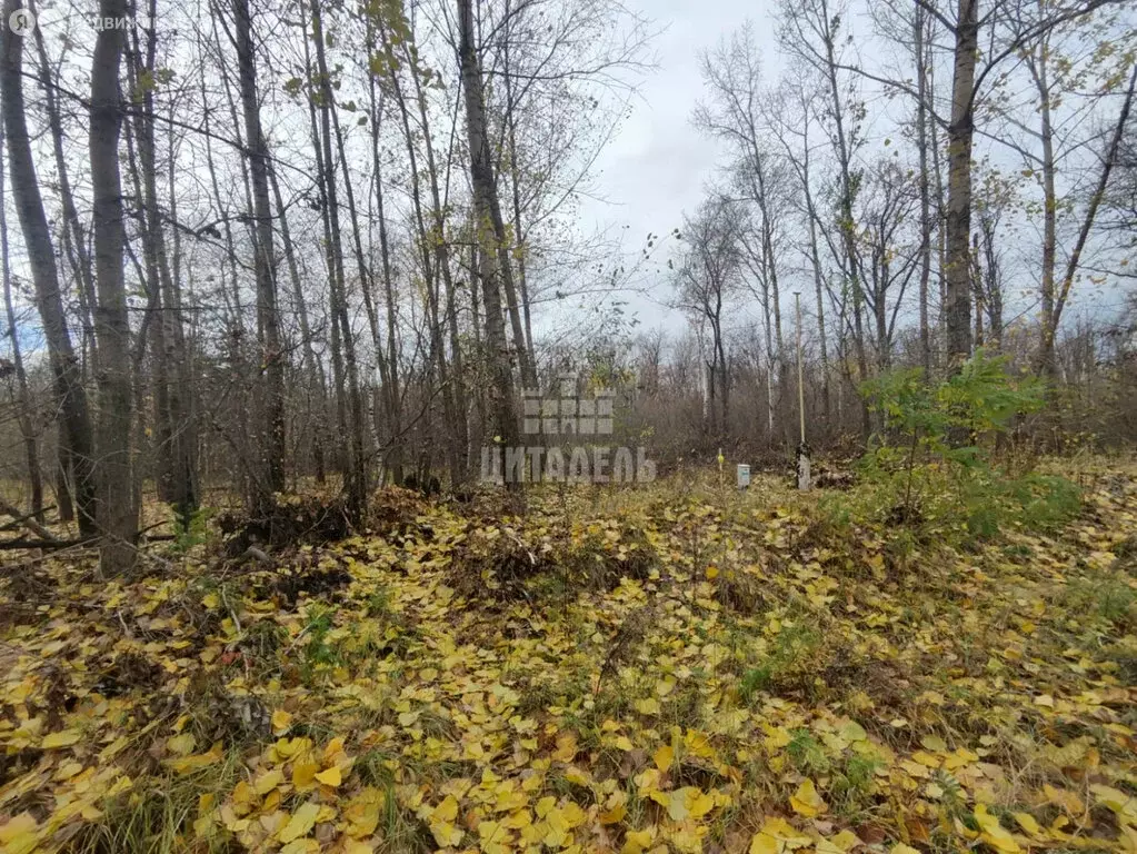 Участок в Воронеж, жилой массив Задонье (10 м) - Фото 2