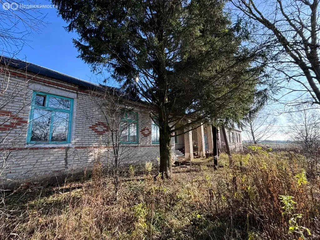 Помещение свободного назначения (363.9 м) - Фото 2