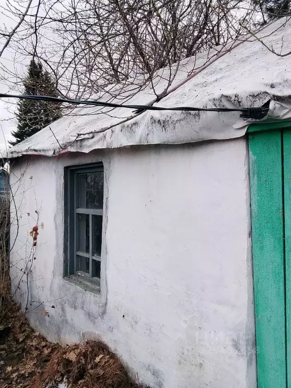 Дом в Кемеровская область, Кемерово Мичуринские Сады АО КОКС СНТ, 517 ... - Фото 2