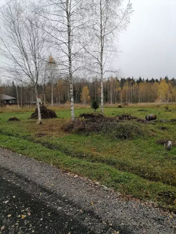 Участок в Московская область, Пушкинский городской округ, д. Могильцы ... - Фото 1