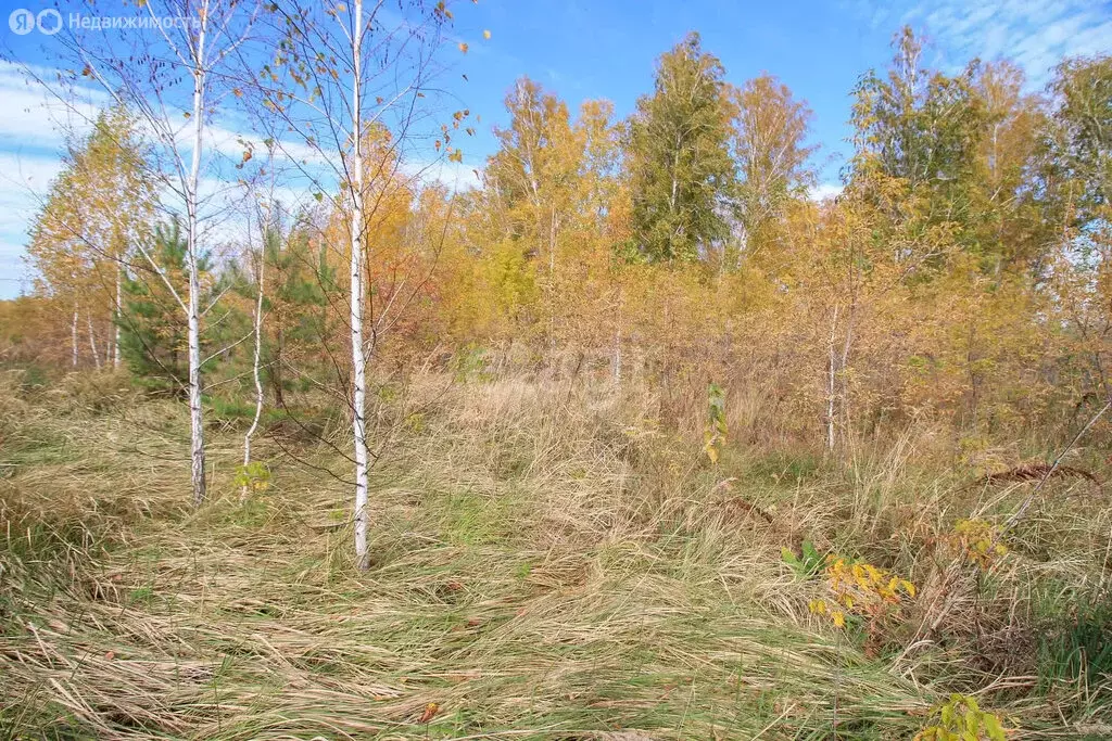 Участок в Первомайский район, посёлок Новый, улица Есенина, 6 (12 м) - Фото 1