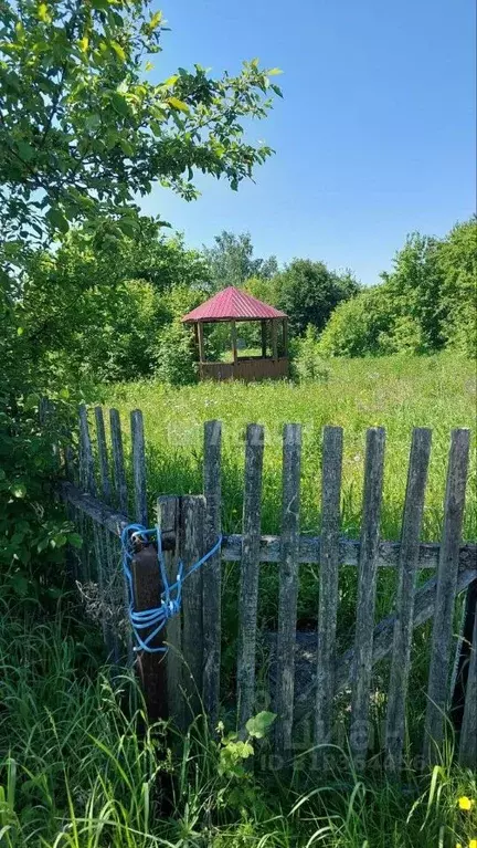 Дом в Омская область, Омский район, Надеждинское с/пос, Сирена СНТ  ... - Фото 0