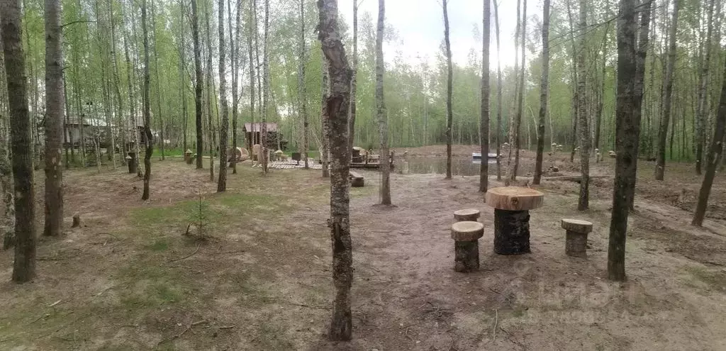 Дом в Тверская область, Ржевский муниципальный округ, пос. Есинка ул. ... - Фото 1