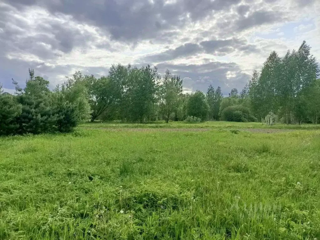 Участок в Московская область, Ступино городской округ, с. Ивановское  ... - Фото 1