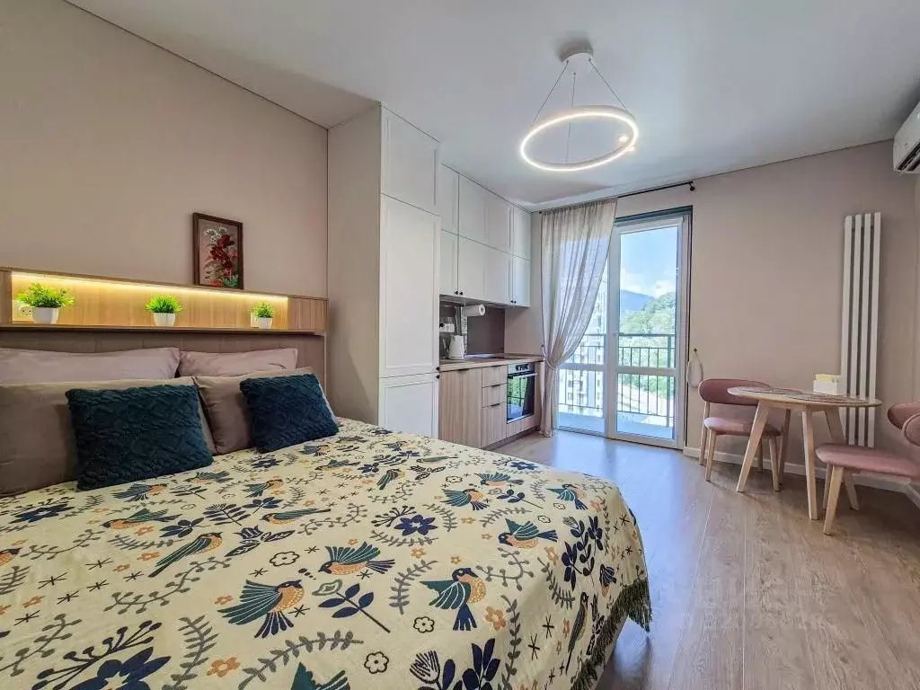 1-к кв. Краснодарский край, Сочи ул. Искры, 88к1 (25.0 м) - Фото 1