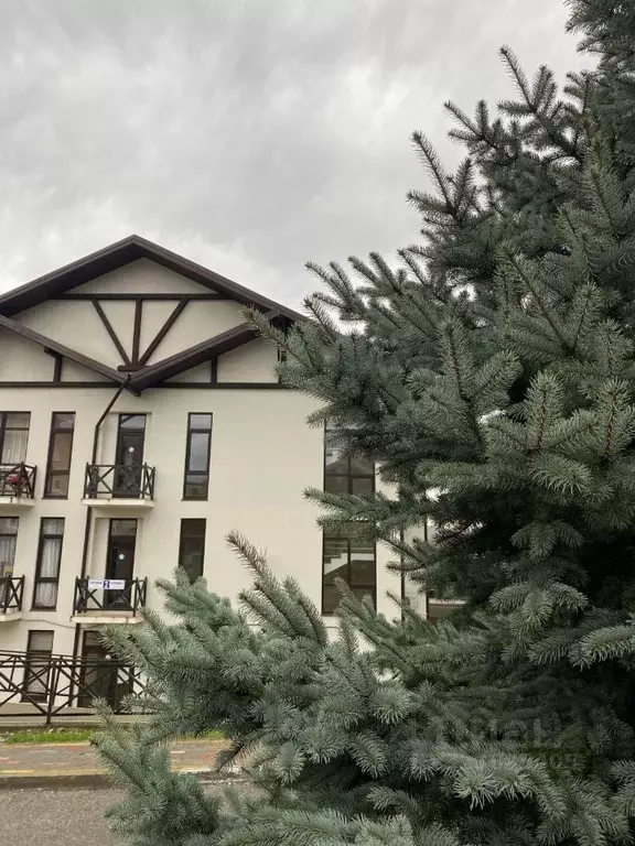 Студия Краснодарский край, Сочи Красная Поляна пгт, ул. Плотинная, 2 ... - Фото 1