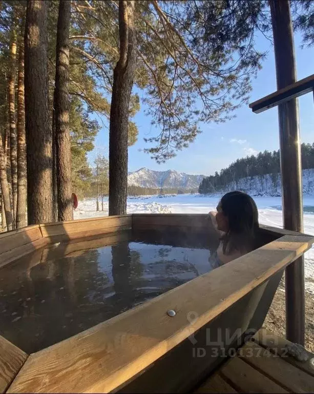 Комната Алтай, Чемальский район, с. Турбаза Катунь  (10.0 м) - Фото 0