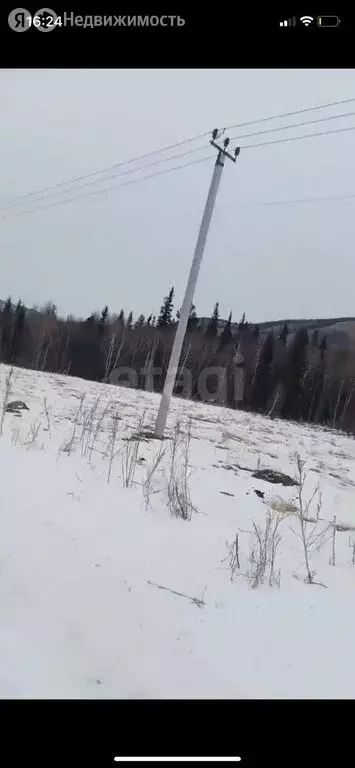 Участок в Шебалинский район, село Шебалино (372.66 м) - Фото 2