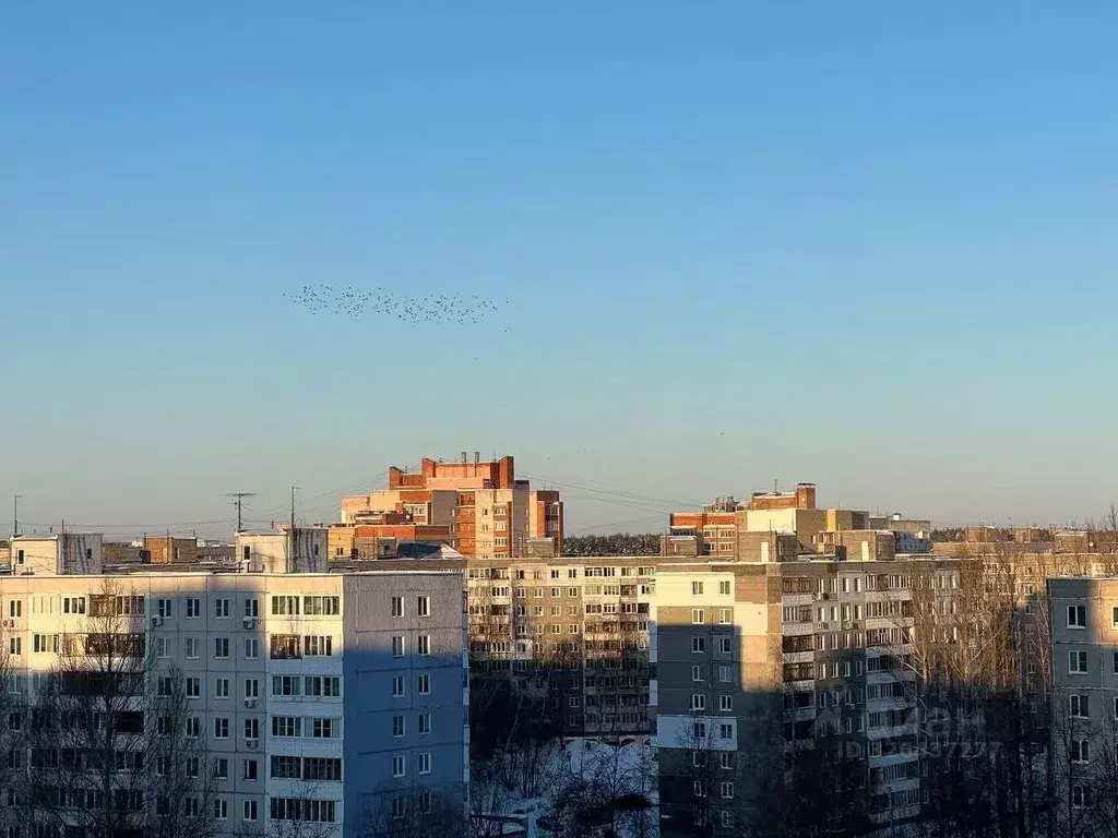 4-к кв. Ярославская область, Ярославль просп. Машиностроителей, 7 ... - Фото 2