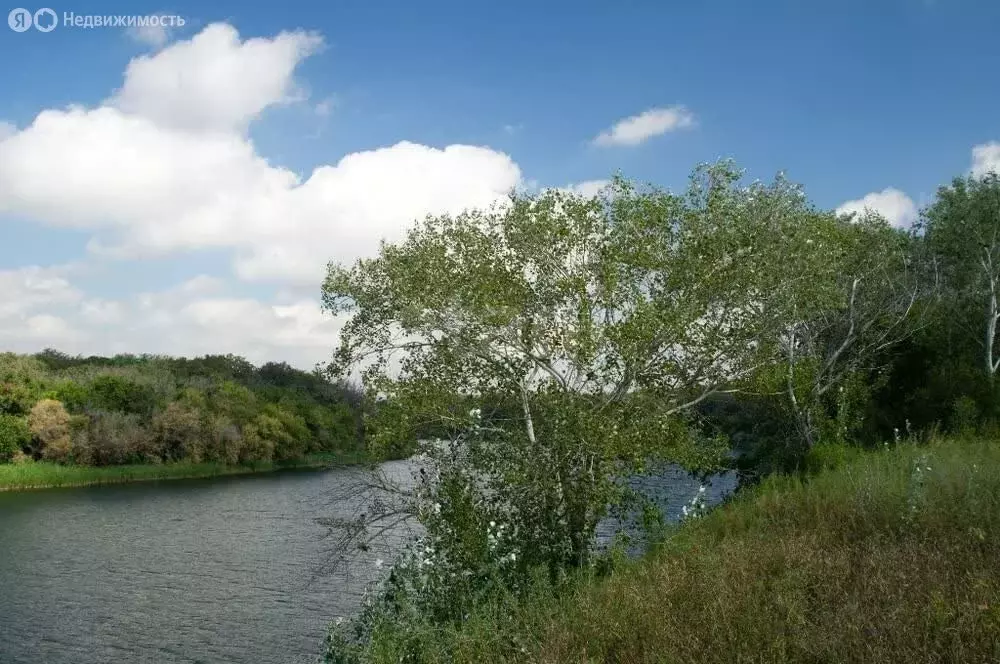 Дом в село Марьевка, улица Куйбышева (27.9 м) - Фото 2