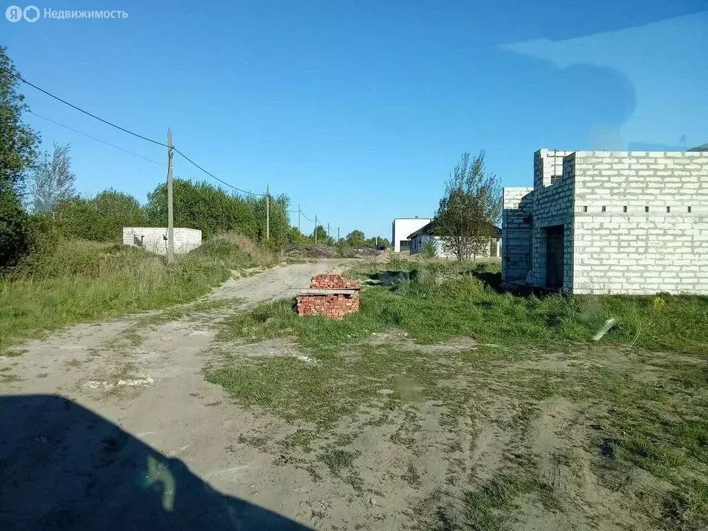 Участок в Калининградская область, Гурьевский муниципальный округ, СНТ ... - Фото 1