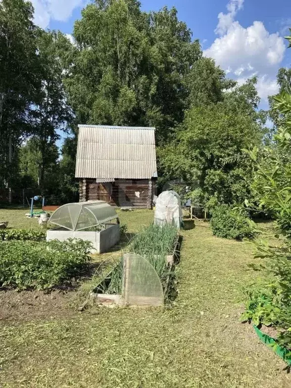 Дом в Тюменская область, Тюмень Тополя СНТ, ул. 29-я (30 м) - Фото 1