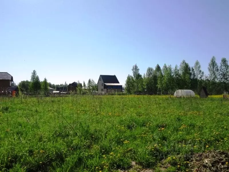 Участок в Новосибирская область, Новосибирский район, Станционный ... - Фото 0