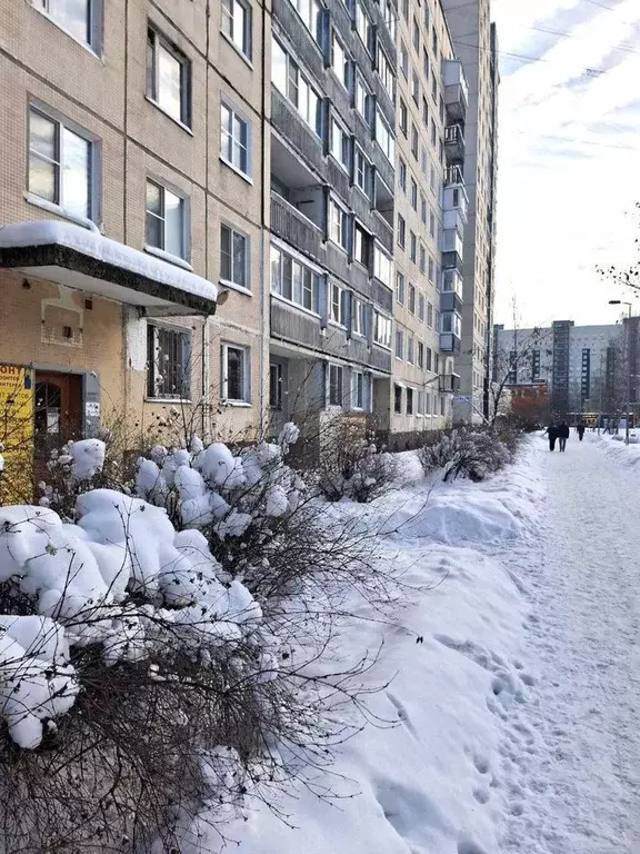 Помещение свободного назначения в Санкт-Петербург просп. Косыгина, ... - Фото 1