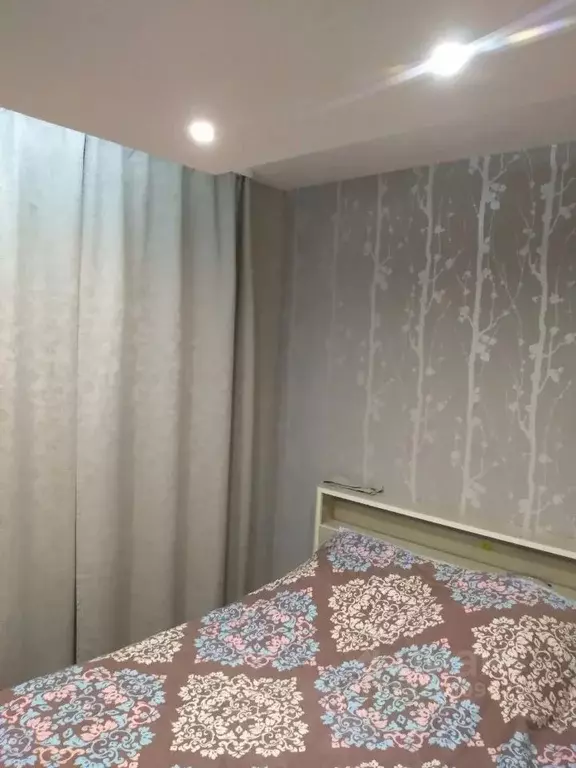 3-к кв. Удмуртия, Ижевск Пушкинская ул., 220 (50.0 м) - Фото 2