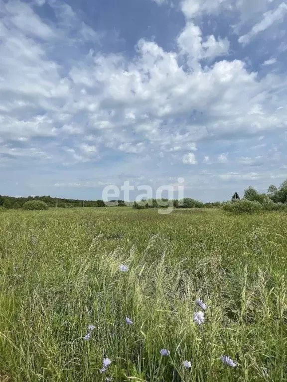 Участок в Калужская область, Перемышльский муниципальный округ, ... - Фото 1