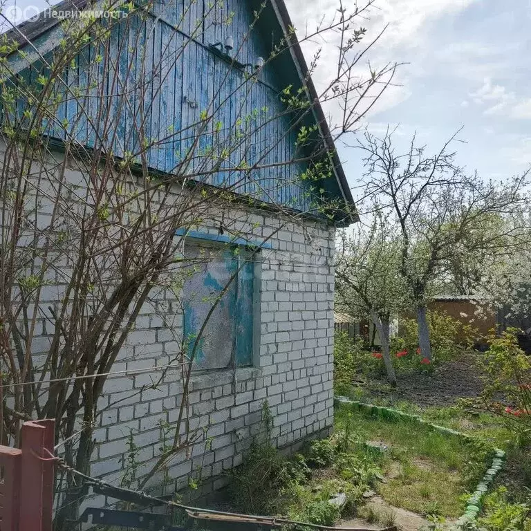 Дом в Брянск, садоводческое общество Болва (27.3 м) - Фото 1