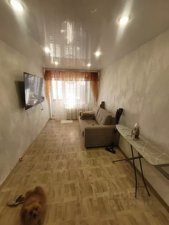 1-к кв. Пензенская область, Заречный Моховая ул., 49 (28.8 м) - Фото 2