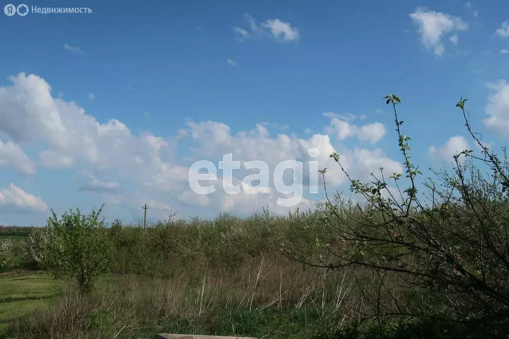 Участок в Белгородская область, Алексеевка (32.7 м) - Фото 1