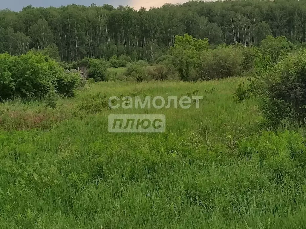 Участок в Свердловская область, Камышловский район, Зареченское с/пос, ... - Фото 0
