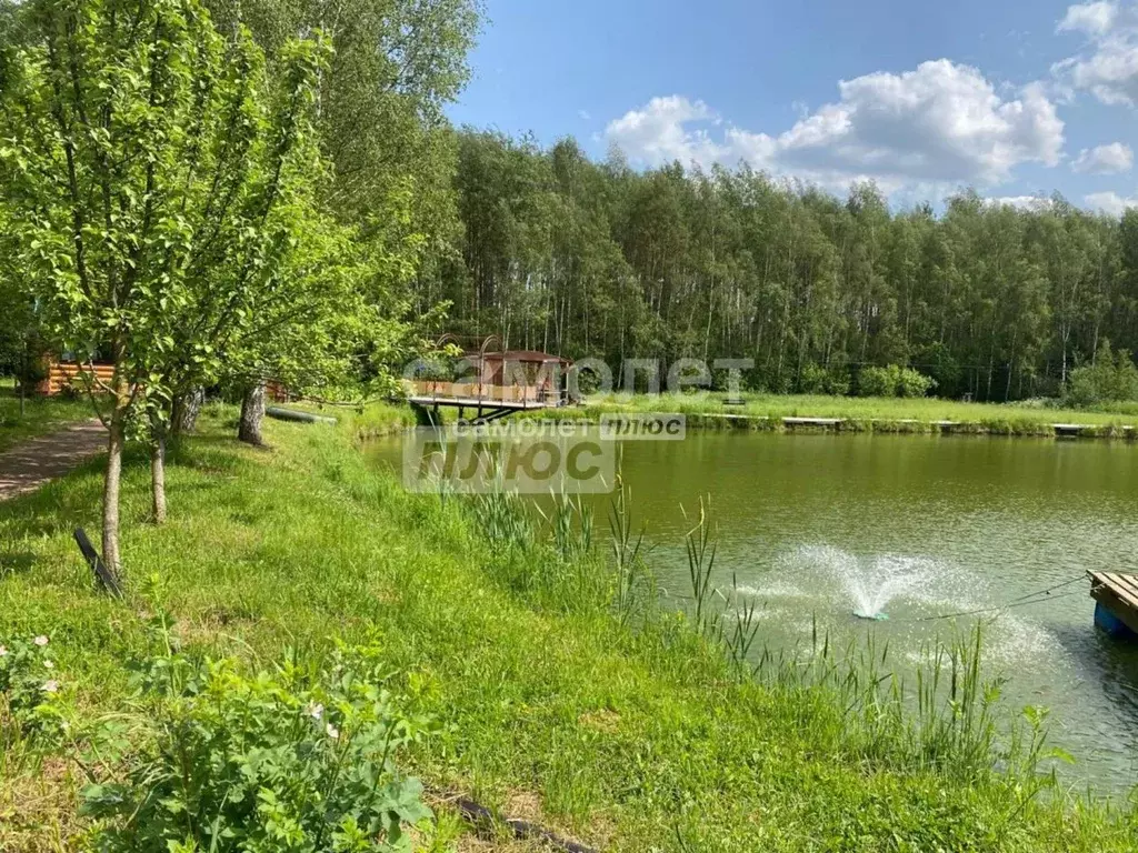 Участок в Московская область, Богородский городской округ, Новое ... - Фото 1