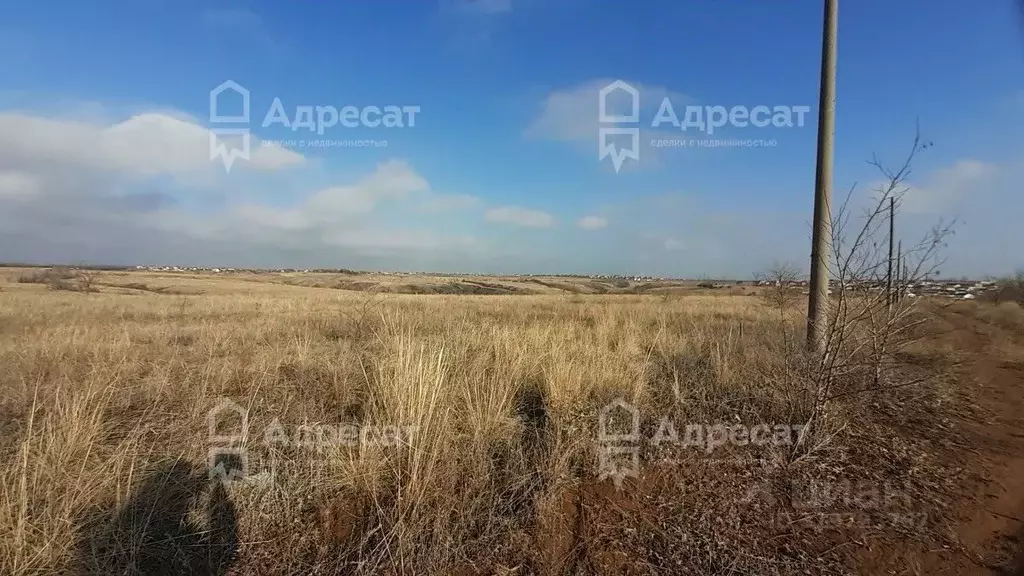 Участок в Волгоградская область, Городищенский район, Царицынское ... - Фото 2