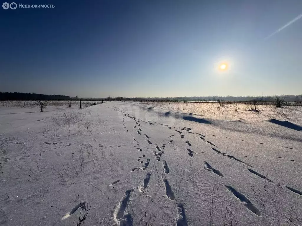 Участок в Калининградская область, Гвардейский муниципальный округ, ... - Фото 1