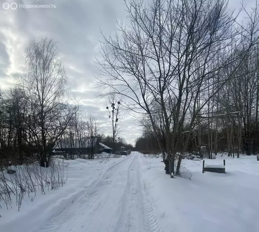 Участок в Калининград, Северодвинская улица (6 м) - Фото 2
