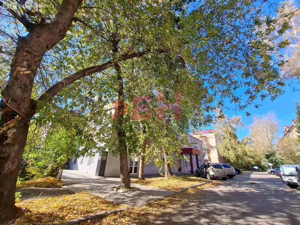 Помещение свободного назначения (289 м) - Фото 1