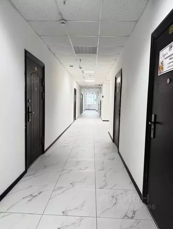 Офис в Амурская область, Благовещенск КПП мкр, ул. Кольцевая, 39/1 (22 ... - Фото 2