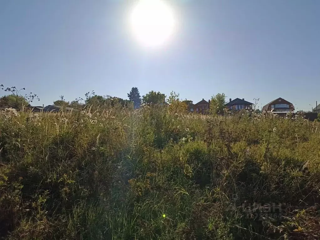Участок в Московская область, Серпухов городской округ, с. Липицы ул. ... - Фото 0