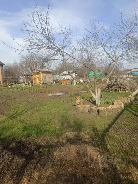 Участок в Ростовская область, Октябрьский район, пос. Персиановский, ... - Фото 2