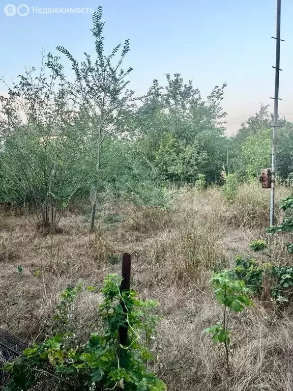 Участок в Новочеркасск, садовое товарищество № 2 АО Магнит (4.93 м) - Фото 0