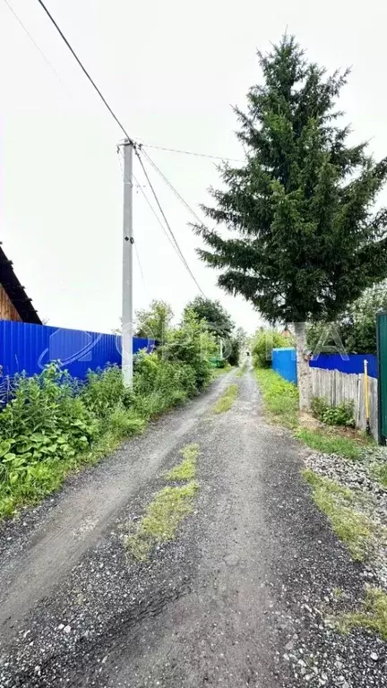 Дом в Тюменская область, Тюмень Якорь садовое товарищество, ул. ... - Фото 0