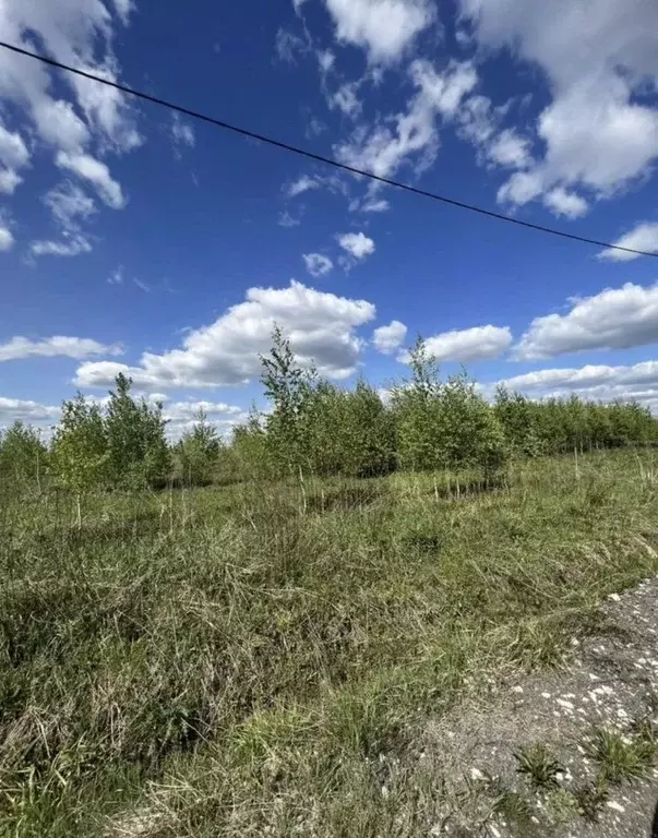 Участок в Владимирская область, Камешковский муниципальный округ, д. ... - Фото 2