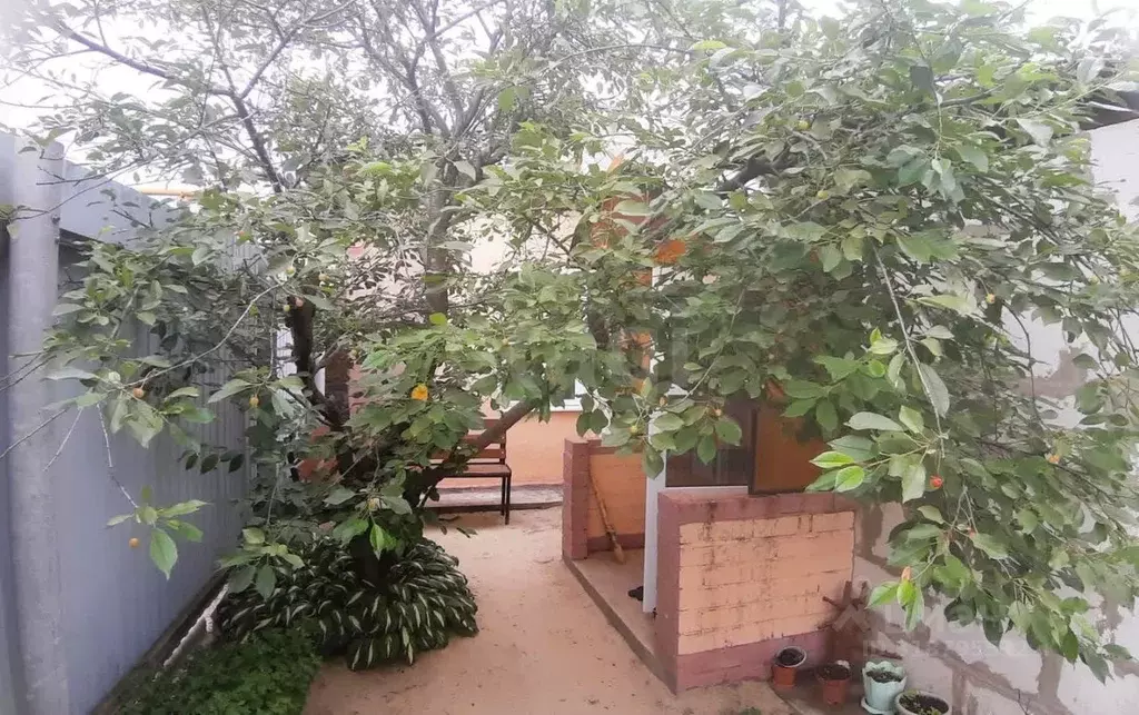 4-к кв. Белгородская область, Новый Оскол Дорожная ул., 8 (55.0 м) - Фото 2