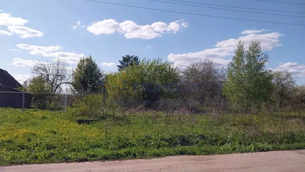 Участок в Нижегородская область, Арзамас городской округ, с. Ломовка ... - Фото 1