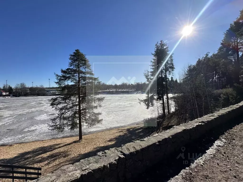 Помещение свободного назначения в Ленинградская область, Выборгский ... - Фото 1