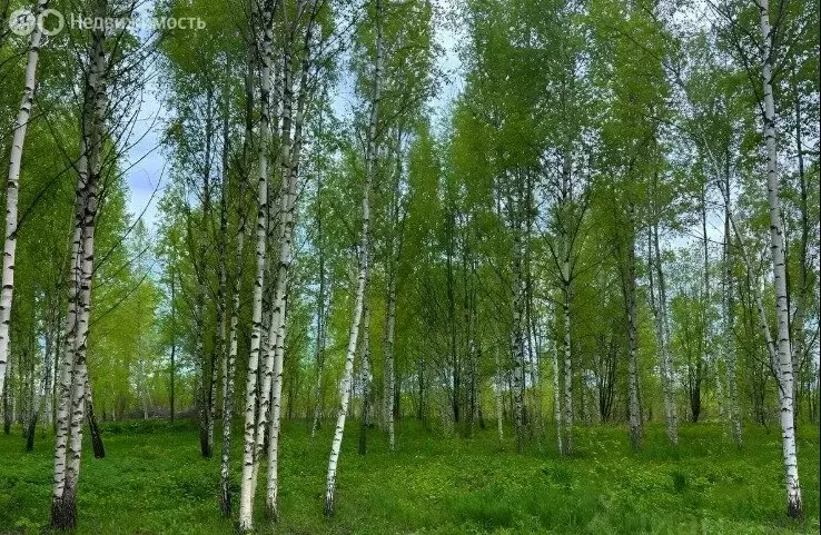 Участок в деревня Капорки, улица Новые Капорки (8.79 м) - Фото 1