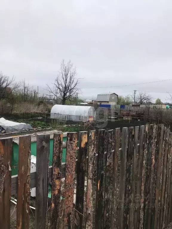 Участок в Курганская область, Курган Мир СНТ, 6 (9.0 сот.) - Фото 2