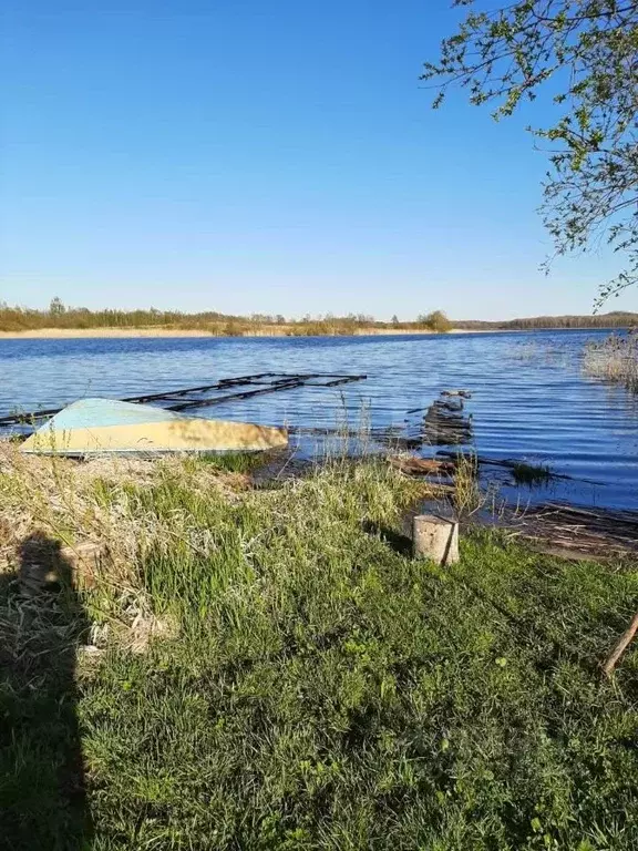 Участок в Псковская область, Дедовичский район, Пожеревицкая волость, ... - Фото 1