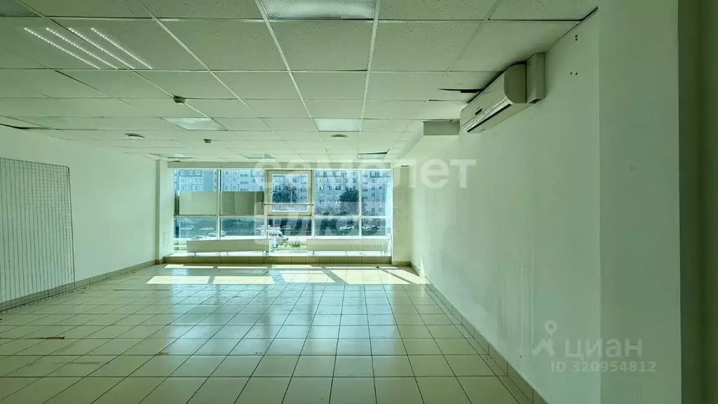 Торговая площадь в Псковская область, Псков Коммунальная ул., 41 (40 ... - Фото 1