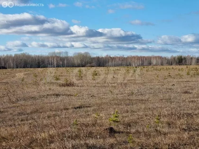 Участок в Тюменский район, село Кулига, микрорайон Кулига-2 (8 м) - Фото 1